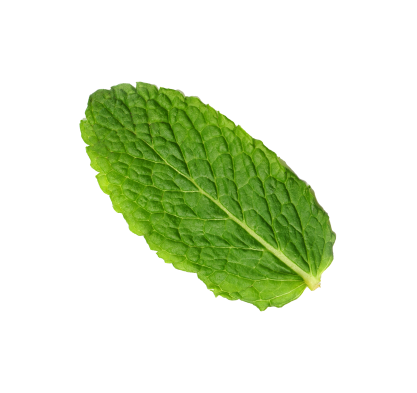 Leaf